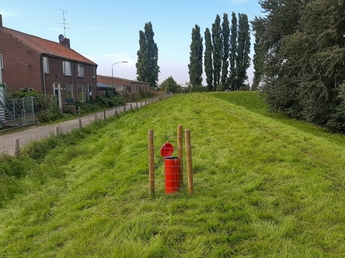 Monitoring primaire waterkering traject Willemstad-Noordschans | Wiertsema & Partners