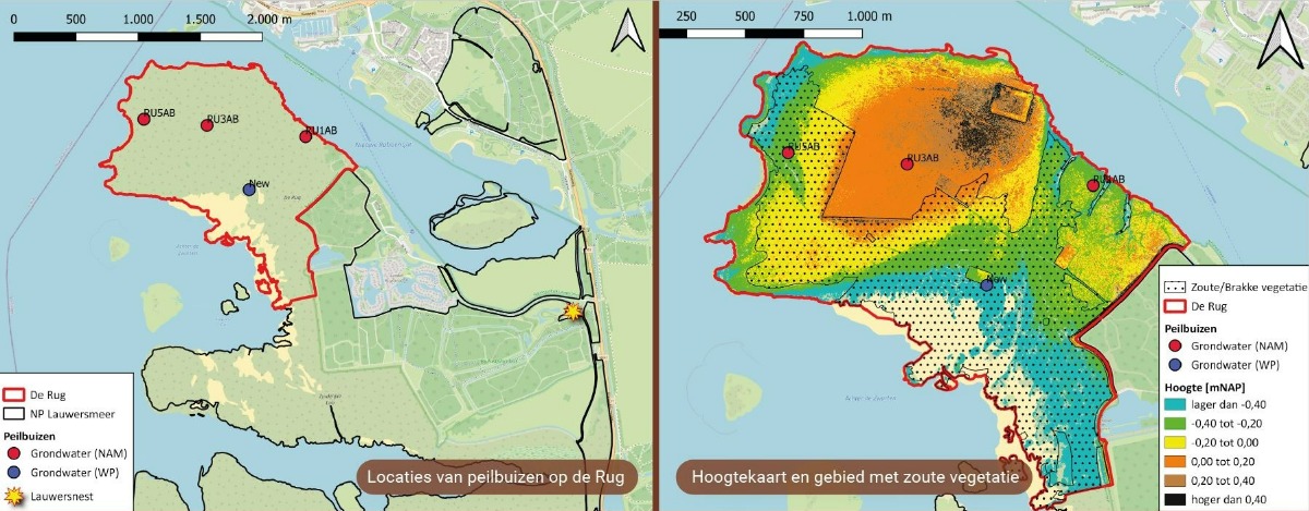Herkomst van zout grondwater in De Rug | Wiertsema & Partners